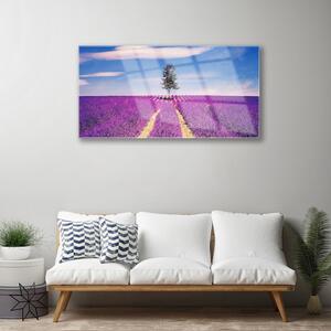 Modern üvegkép Lavender Field Mező Fa