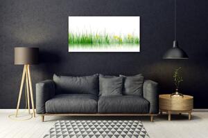 Modern üvegkép Nature Flowers Grass