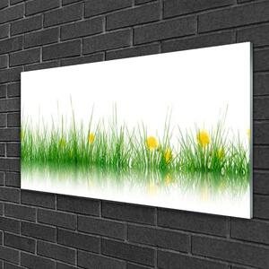 Modern üvegkép Nature Flowers Grass