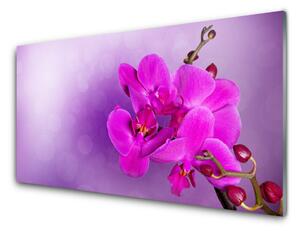 Modern üvegkép Orchid szirmok Virág