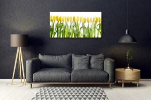 Üvegfotó Tulipán virágok természet