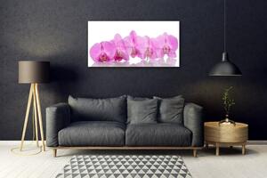 Modern üvegkép Rózsaszín orchidea virágok