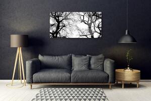 Modern üvegkép Fák Természet fekete-fehér