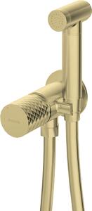 Deante Silia Hexa, rejtett bidé mixer bidé spray-vel, arany matt, DEA-BHS_R34M