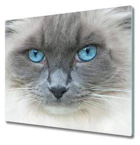 Üveg vágódeszka Cat kék szem 60x52 cm