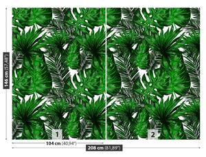 Fotótapéta trópusi levelek 104x70