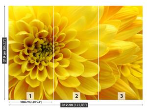 Fotótapéta sárga virág 104x70