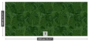 Fotótapéta trópusi növények 104x70