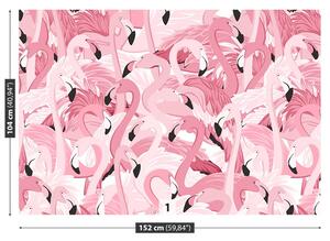 Fotótapéta rózsaszín flamingók 104x70