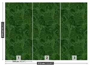 Fotótapéta trópusi növények 104x70