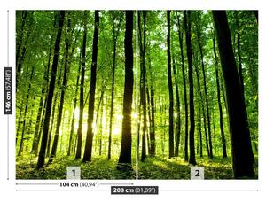 Fotótapéta Zöld erdő 104x70