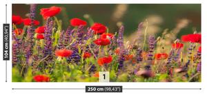 Fotótapéta Field virágok 104x70