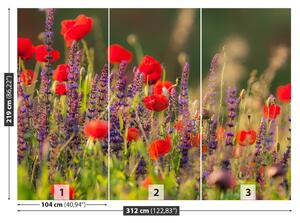 Fotótapéta Field virágok 104x70