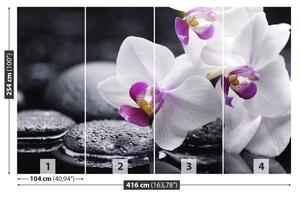 Fotótapéta Orchidea 104x70