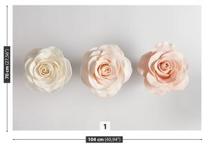 Fotótapéta Roses 104x70