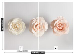 Fotótapéta Roses 104x70