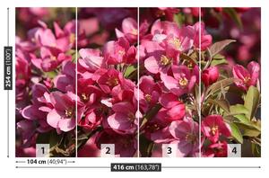 Fotótapéta Cseresznye virágok 104x70