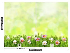 Fotótapéta fű virágok 104x70