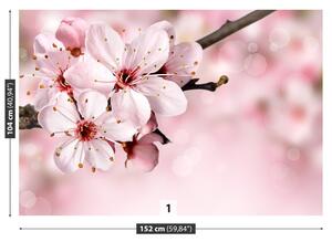 Fotótapéta rózsaszín virág 104x70
