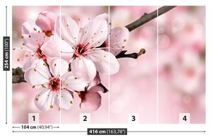 Fotótapéta rózsaszín virág 104x70