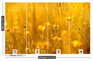 Fotótapéta mezei virágok 104x70