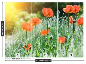 Fotótapéta mák virágok 104x70