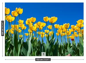 Fotótapéta tulipán virágok 104x70