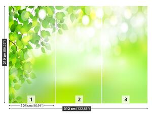 Fotótapéta Zöld levelek 104x70