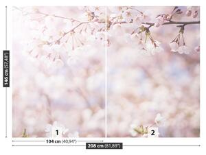 Fotótapéta cseresznye rügyek 104x70