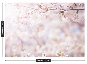 Fotótapéta cseresznye rügyek 104x70
