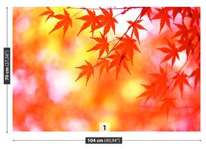 Fotótapéta narancssárga levelek 104x70