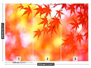 Fotótapéta narancssárga levelek 104x70