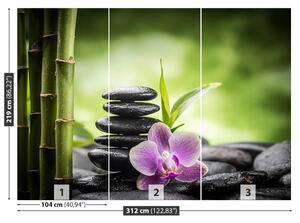 Fotótapéta orchidea zen 104x70