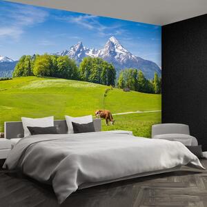 Fotótapéta Alps tehenek 104x70