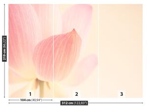 Fotótapéta rózsaszín lótusz 104x70