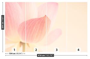 Fotótapéta rózsaszín lótusz 104x70