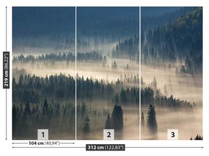Fotótapéta erdő-hegység 104x70