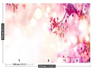 Fotótapéta Cseresznye virágok 104x70