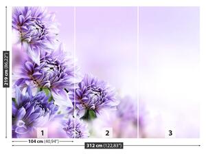 Fotótapéta lila virágok 104x70