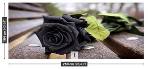 Fotótapéta Fekete rózsa 104x70