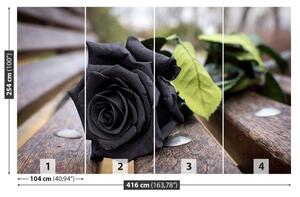 Fotótapéta Fekete rózsa 104x70