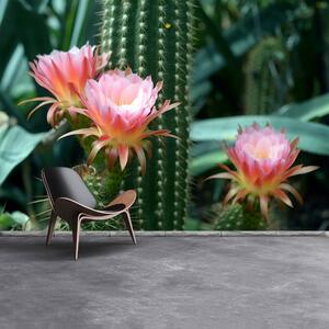 Fotótapéta kaktusz virág 104x70