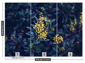Fotótapéta sárga virágok 104x70