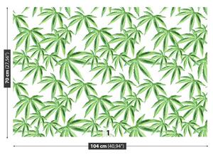 Fotótapéta cannabis levél 104x70