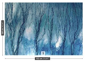 Fotótapéta A kék alga 104x70