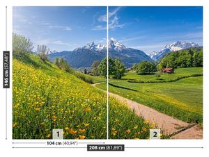 Fotótapéta idilli Alps 104x70