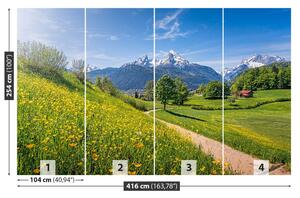 Fotótapéta idilli Alps 104x70