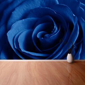 Fotótapéta Kék rózsa 104x70