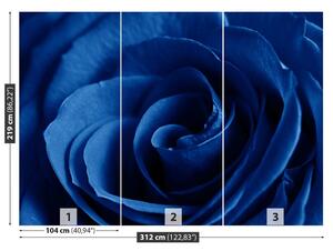 Fotótapéta Kék rózsa 104x70