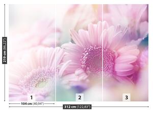 Fotótapéta rózsaszín virágok 104x70